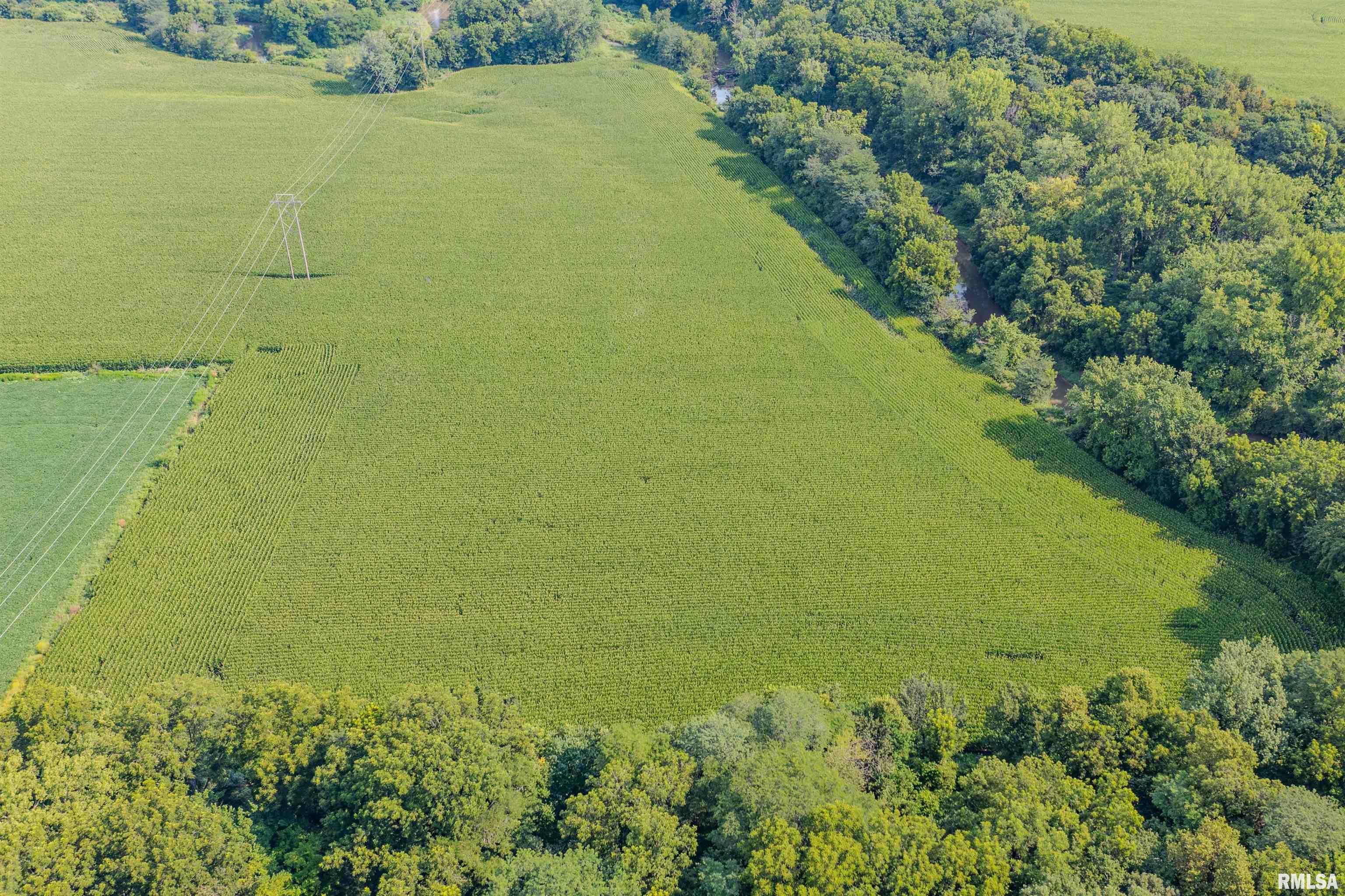 25 North Thousand Dollar Road Brimfield, IL 61517 - Photo 8 of 18