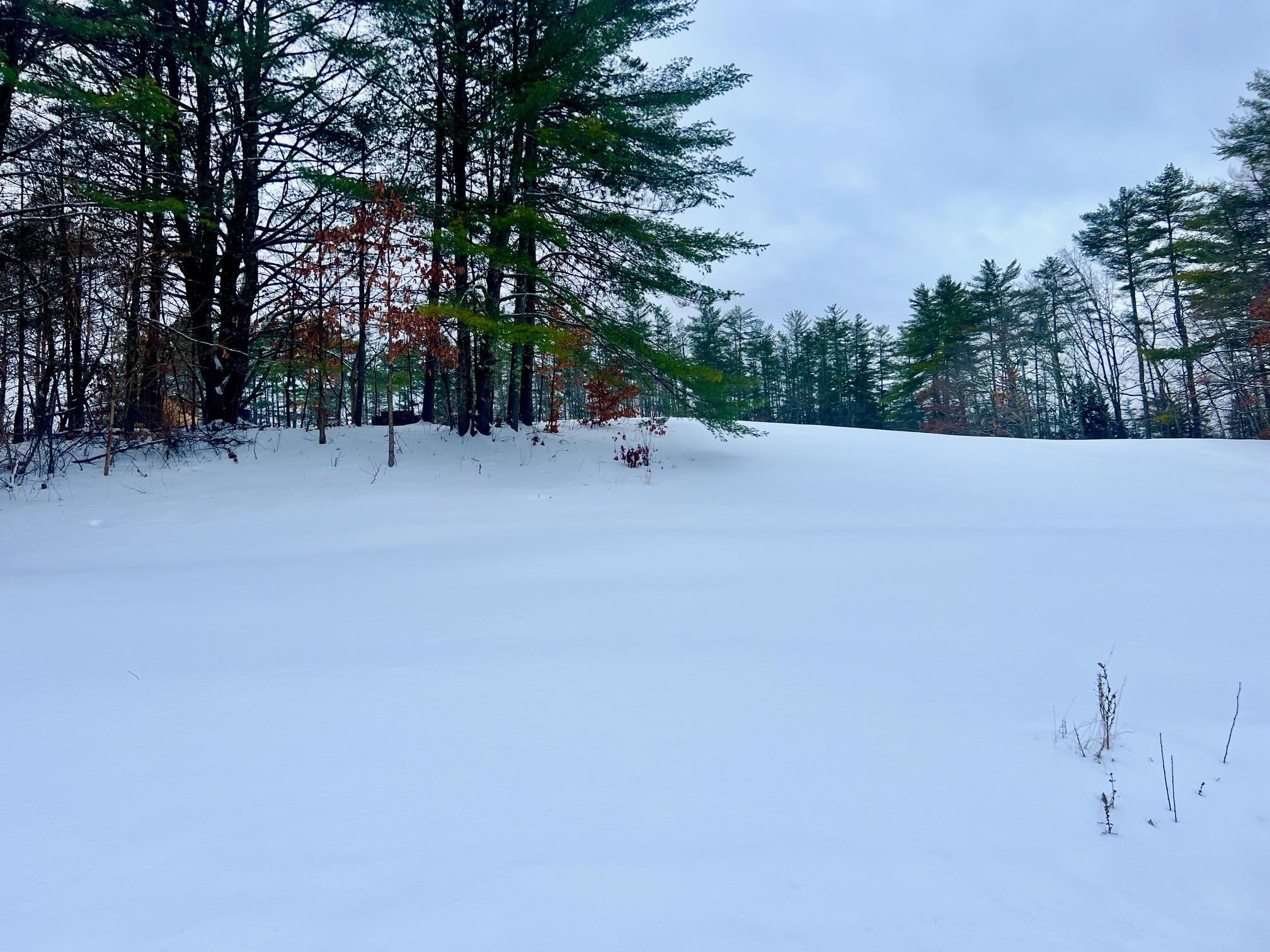 200 Walker Road Alexandria, NH 03222 - Photo 10 of 17
