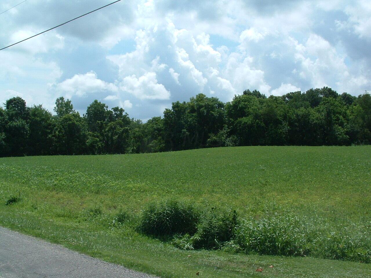 9311 Jug St Road Northwest Pataskala, OH 43062 - Photo 20 of 83 DSCF0006
