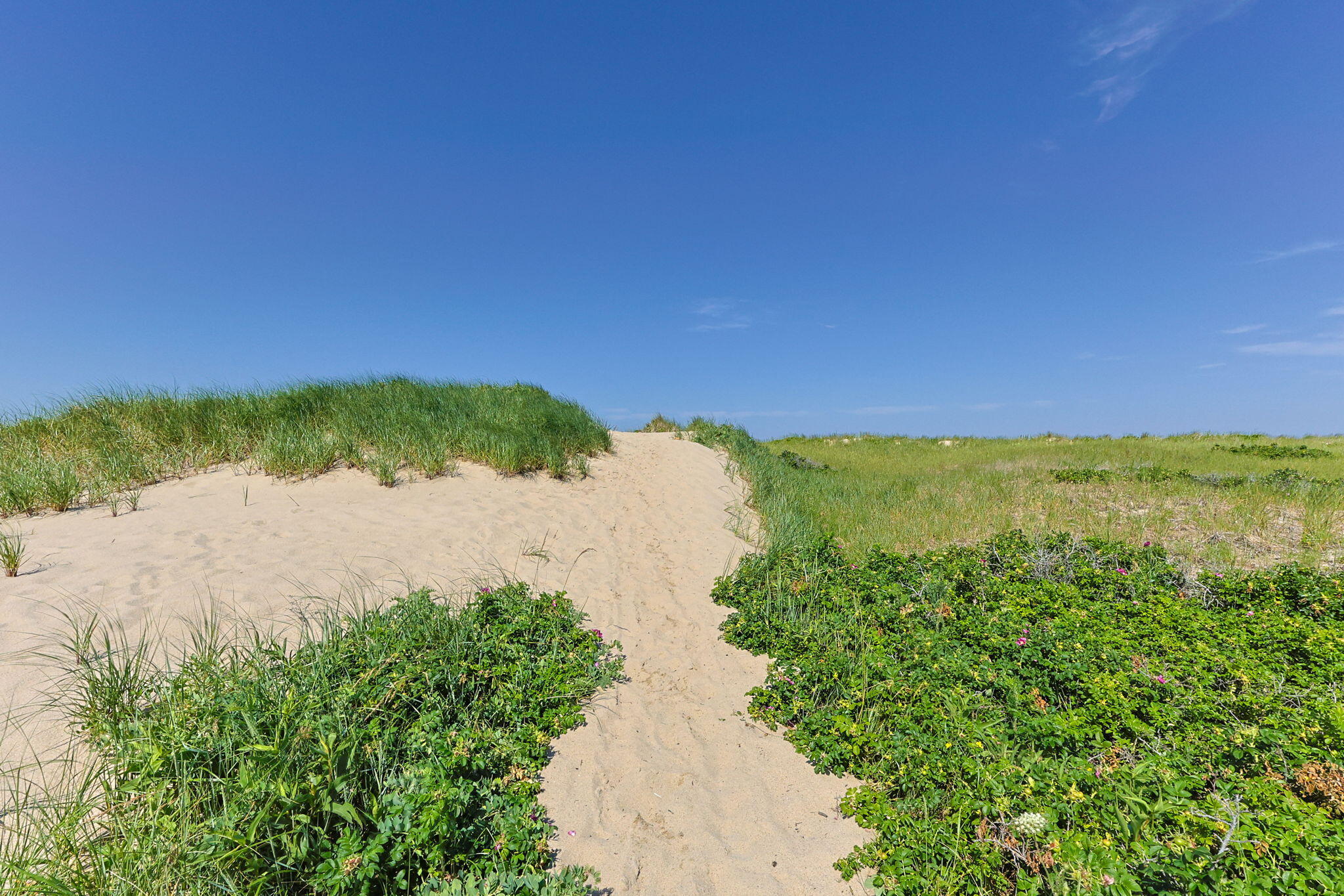 35 Sands Road Eastham, MA 02642 - Photo 69 of 79 74-web-or-mls-35-sands-rd