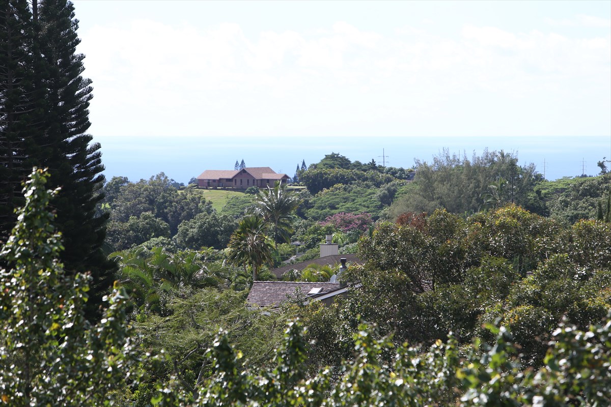 4907 Kikala Road, Unit 1 AND 2 Kalaheo, HI 96741 - Photo 6 of 25 Gallery Image 6