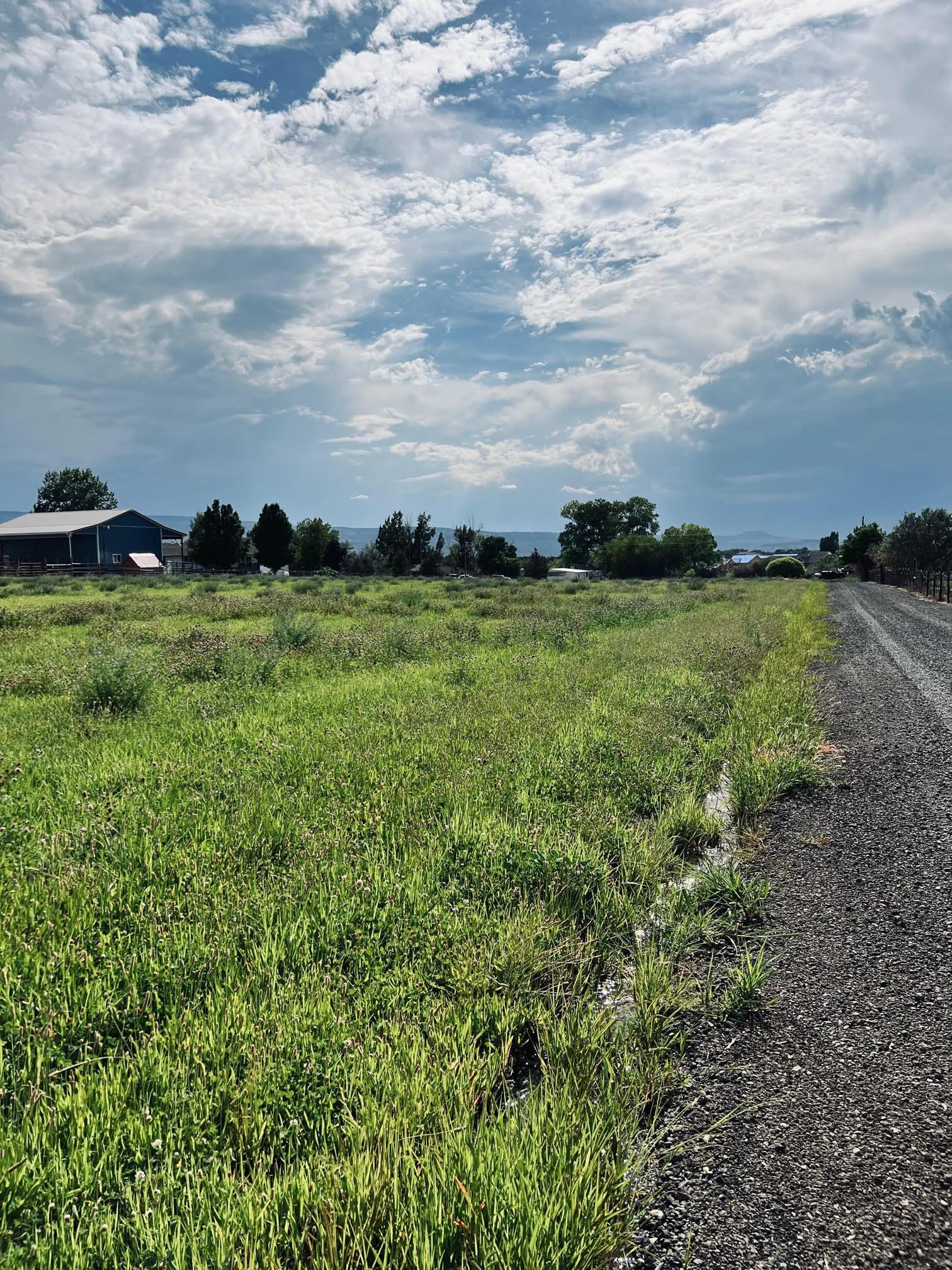 a view of a big yard with a house in the background