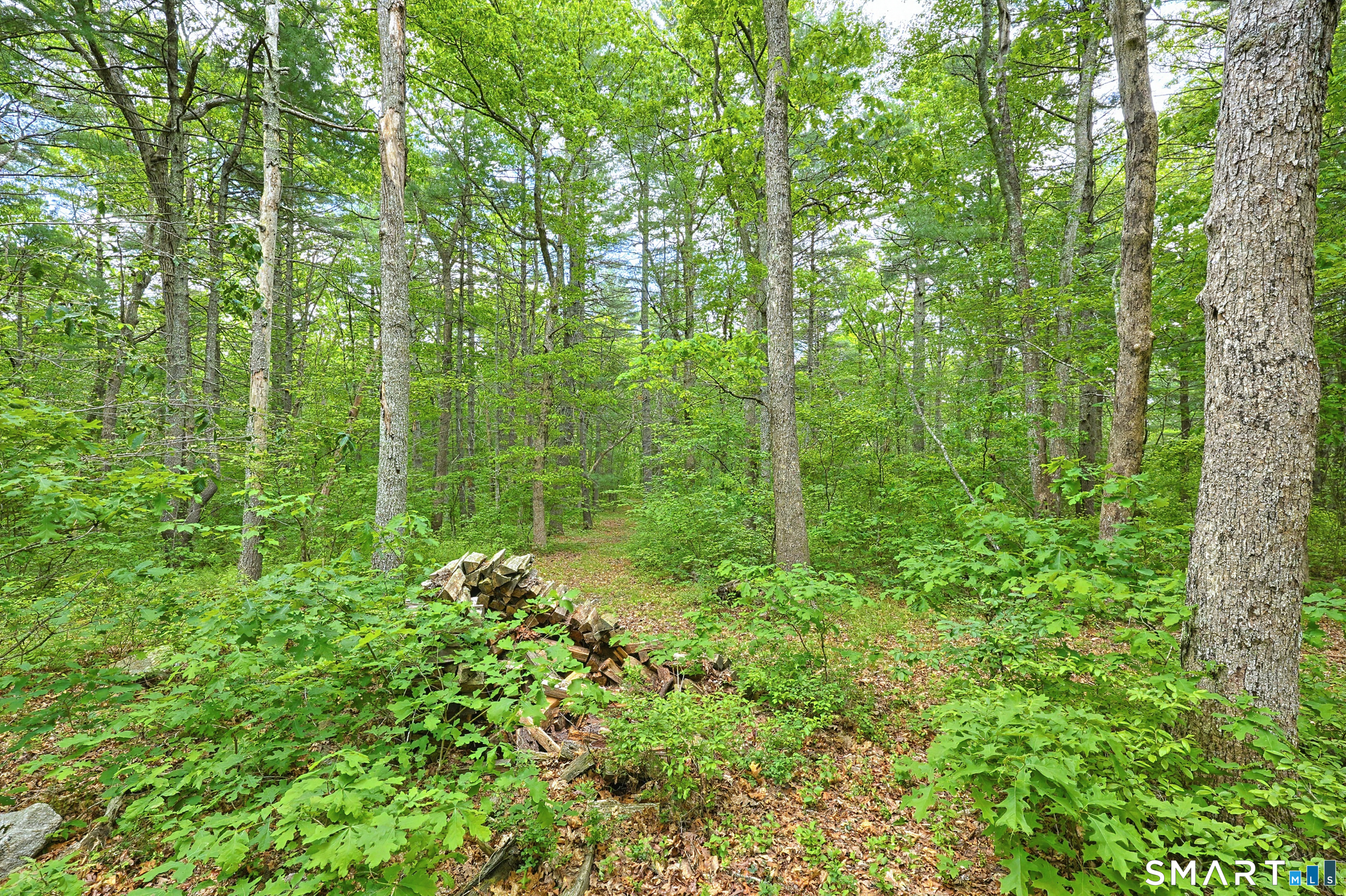 142 Brown Road Voluntown, CT 06384 - Photo 21 of 27