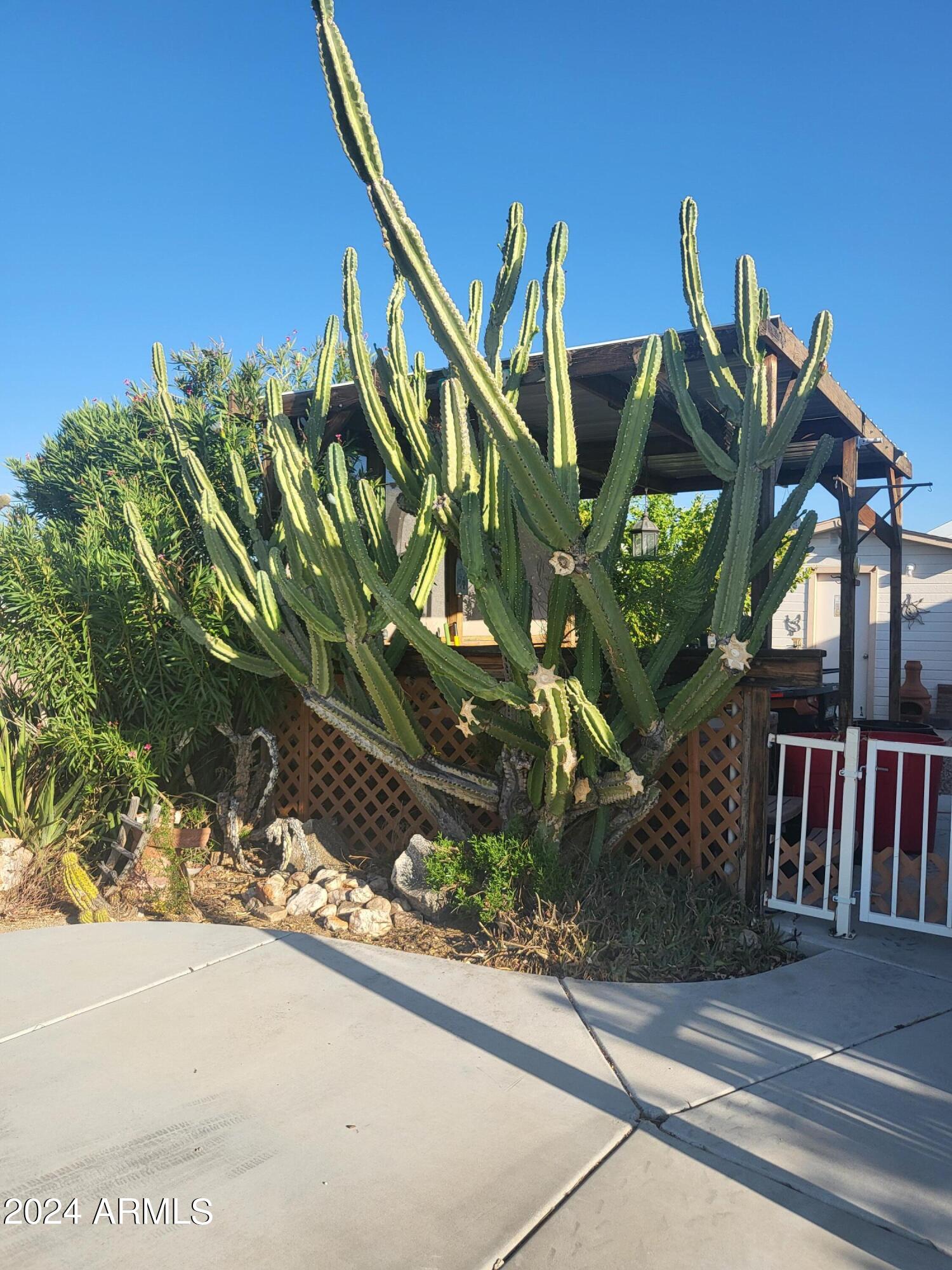 21302 Westward View Road Congress, AZ 85332 - Photo 3 of 19 Natural Vegatation
