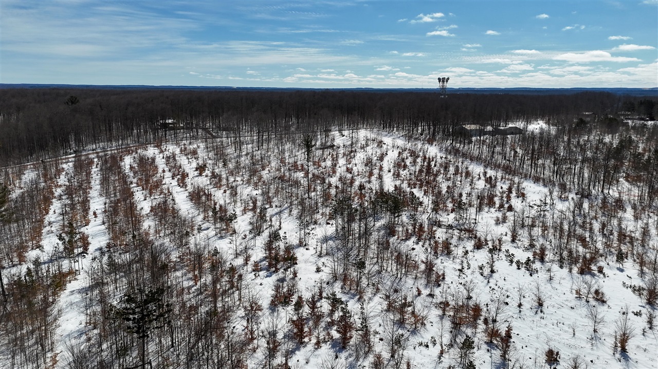 Walker Rd Rapid Rapid City, MI 49676 - Photo 10 of 15