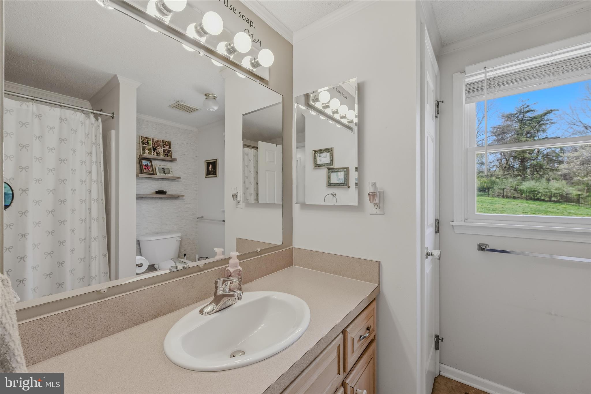 173 Ridge View Drive Berkeley Springs, WV 25411 - Photo 19 of 50 Main Level Bathroom