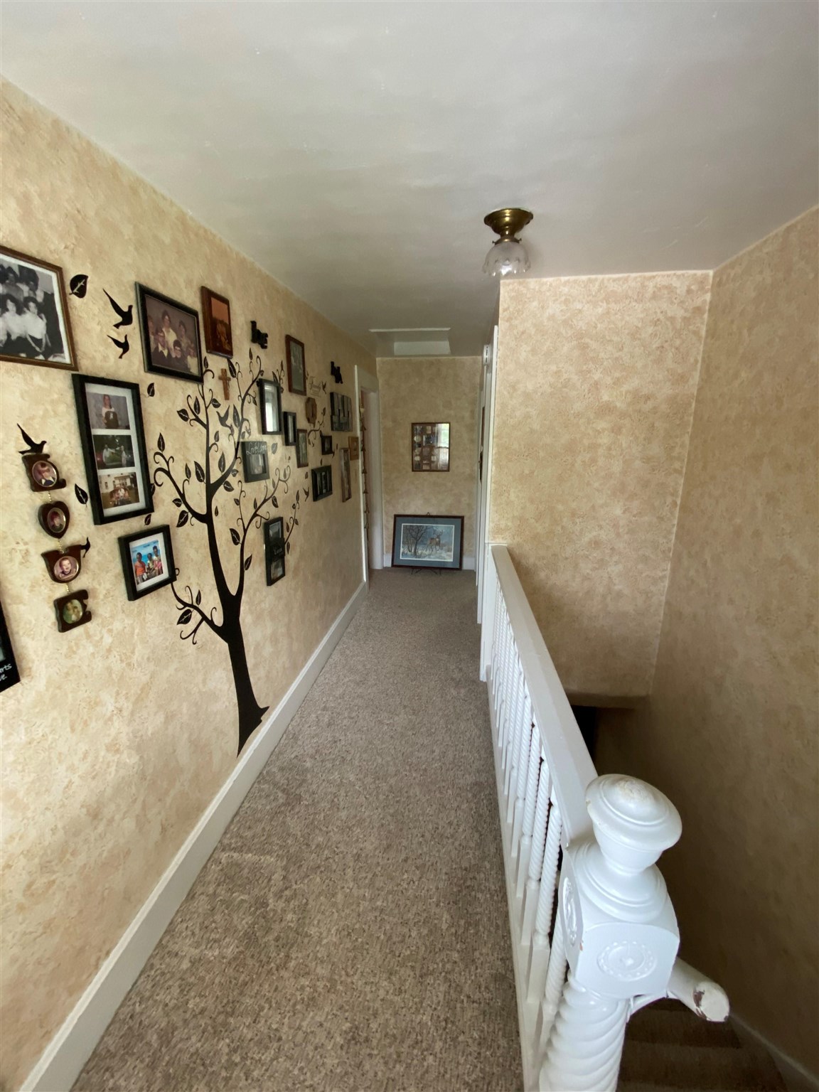 460 Mill Street Wheatland, IA 52777 - Photo 20 of 20