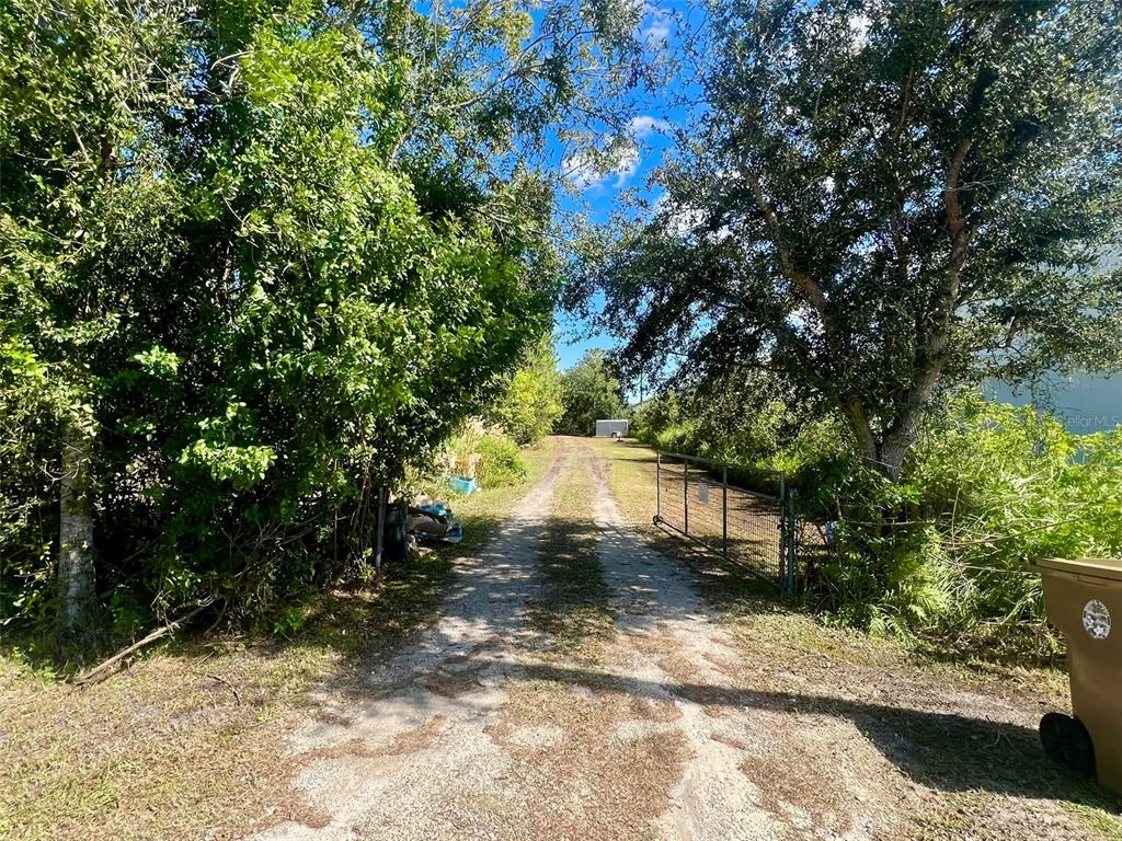 2845 Old Hickory Tree Road St. Cloud, FL 34772 - Photo 9 of 12 a view of a yard with plants and trees