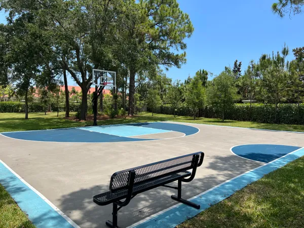 a view of a park with large trees