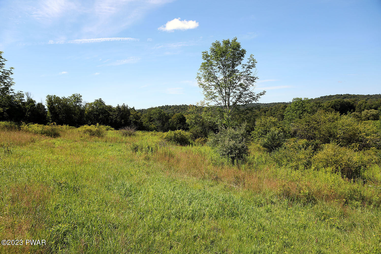 178 Baldwin Hill Road Damascus, PA 18415 - Photo 21 of 38