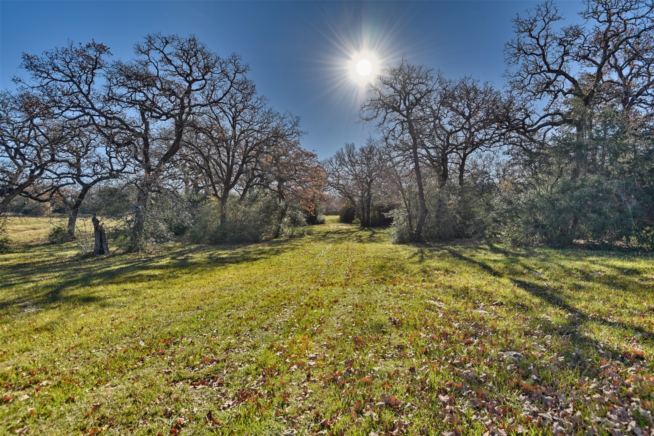 2869 Rockin C S Ranch Road Caldwell, TX 77836 - Photo 20 of 34