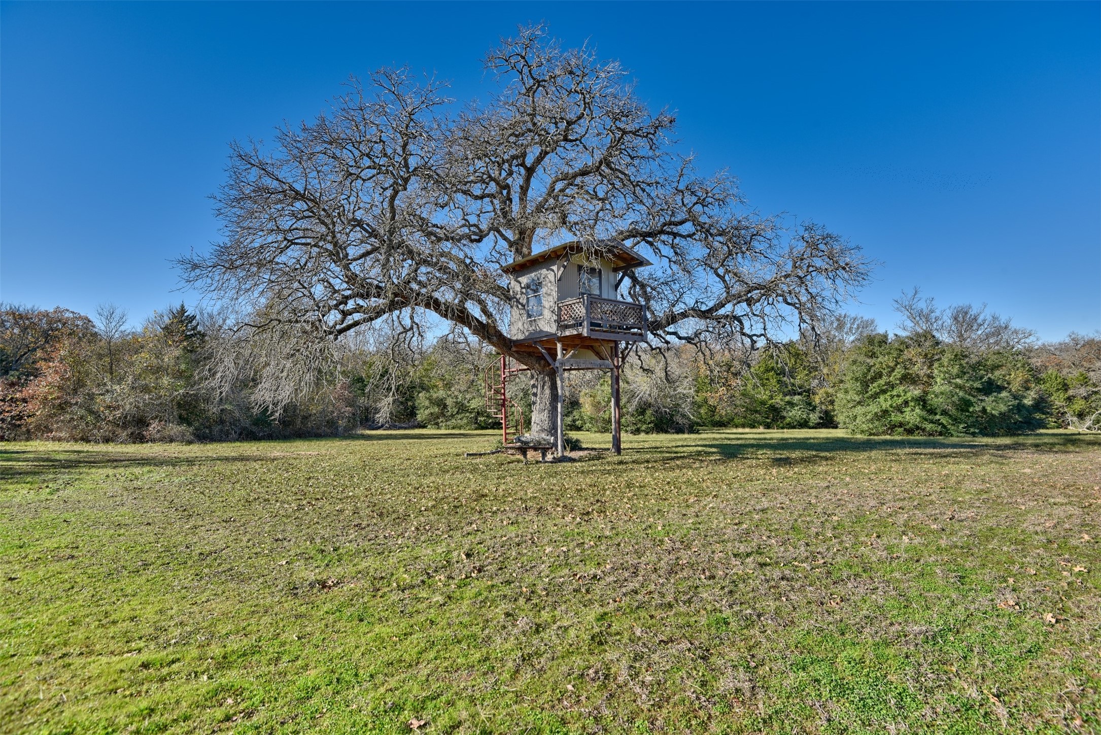 2869 Rockin C S Ranch Road Caldwell, TX 77836 - Photo 22 of 34