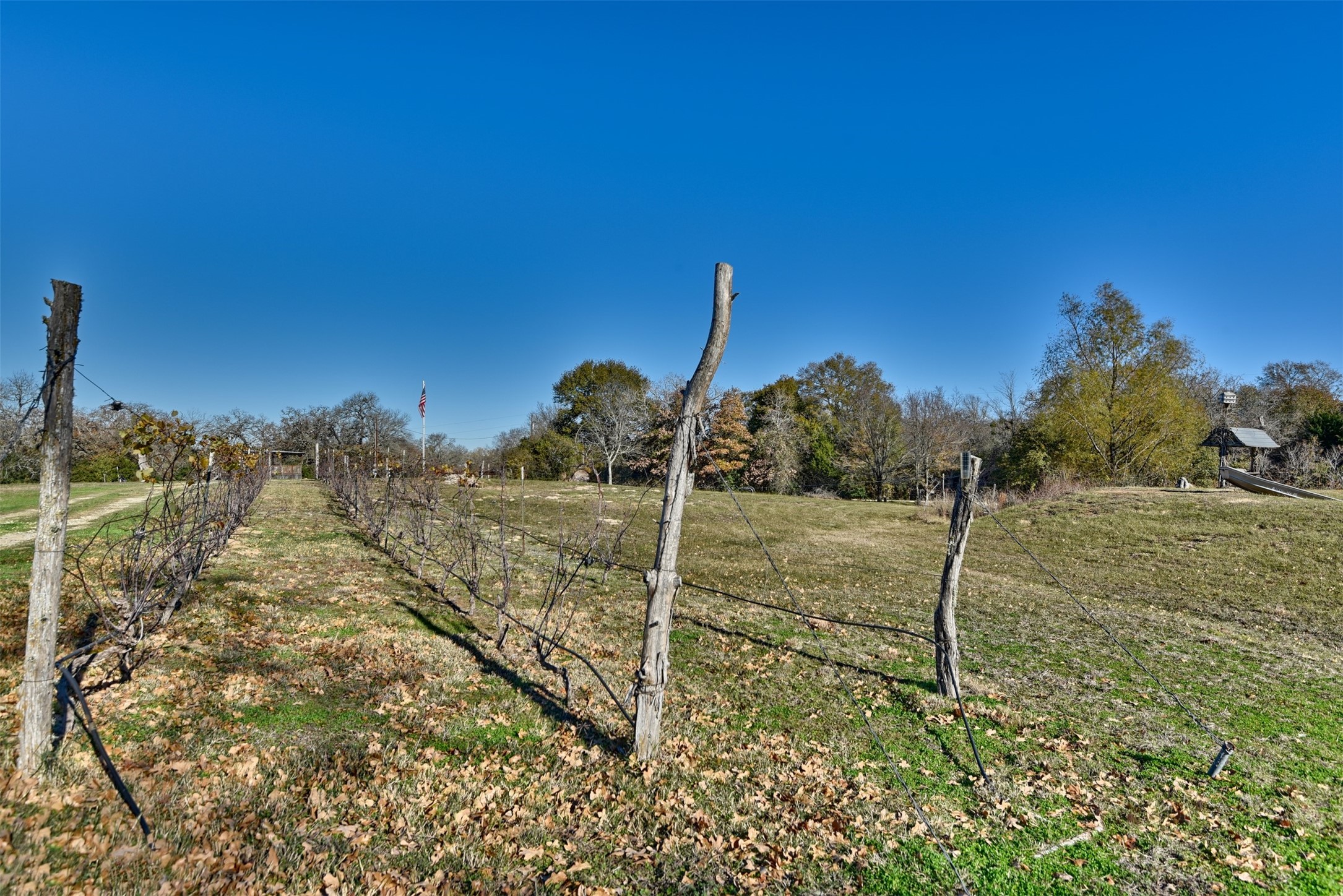2869 Rockin C S Ranch Road Caldwell, TX 77836 - Photo 23 of 34