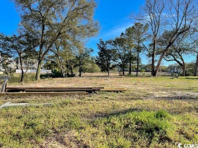 Tbd East Surfwind Drive Murrells Inlet, SC 29576 - Photo 3 of 10