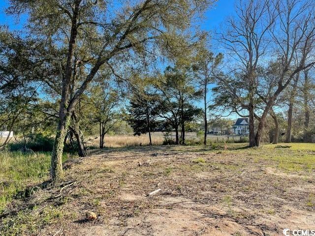Tbd East Surfwind Drive Murrells Inlet, SC 29576 - Photo 4 of 10