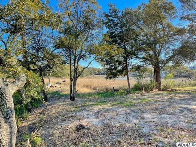 Tbd East Surfwind Drive Murrells Inlet, SC 29576 - Photo 6 of 10