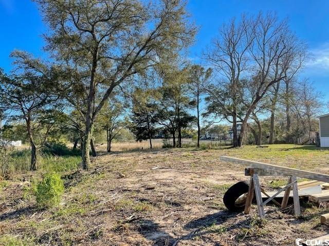 Tbd East Surfwind Drive Murrells Inlet, SC 29576 - Photo 7 of 10