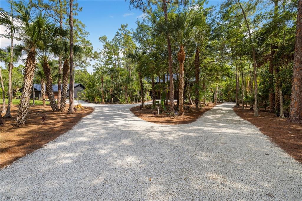 4521 3rd Avenue Northwest Naples, FL 34119 - Photo 40 of 46 a view of outdoor space with trees