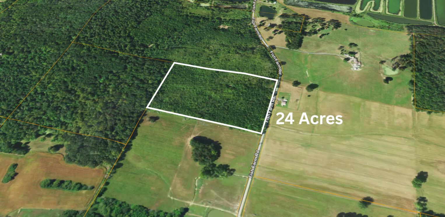 72 Fish Farm Road Golconda, IL 62938 - Photo 7 of 15