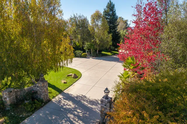 a green field with flowers and trees