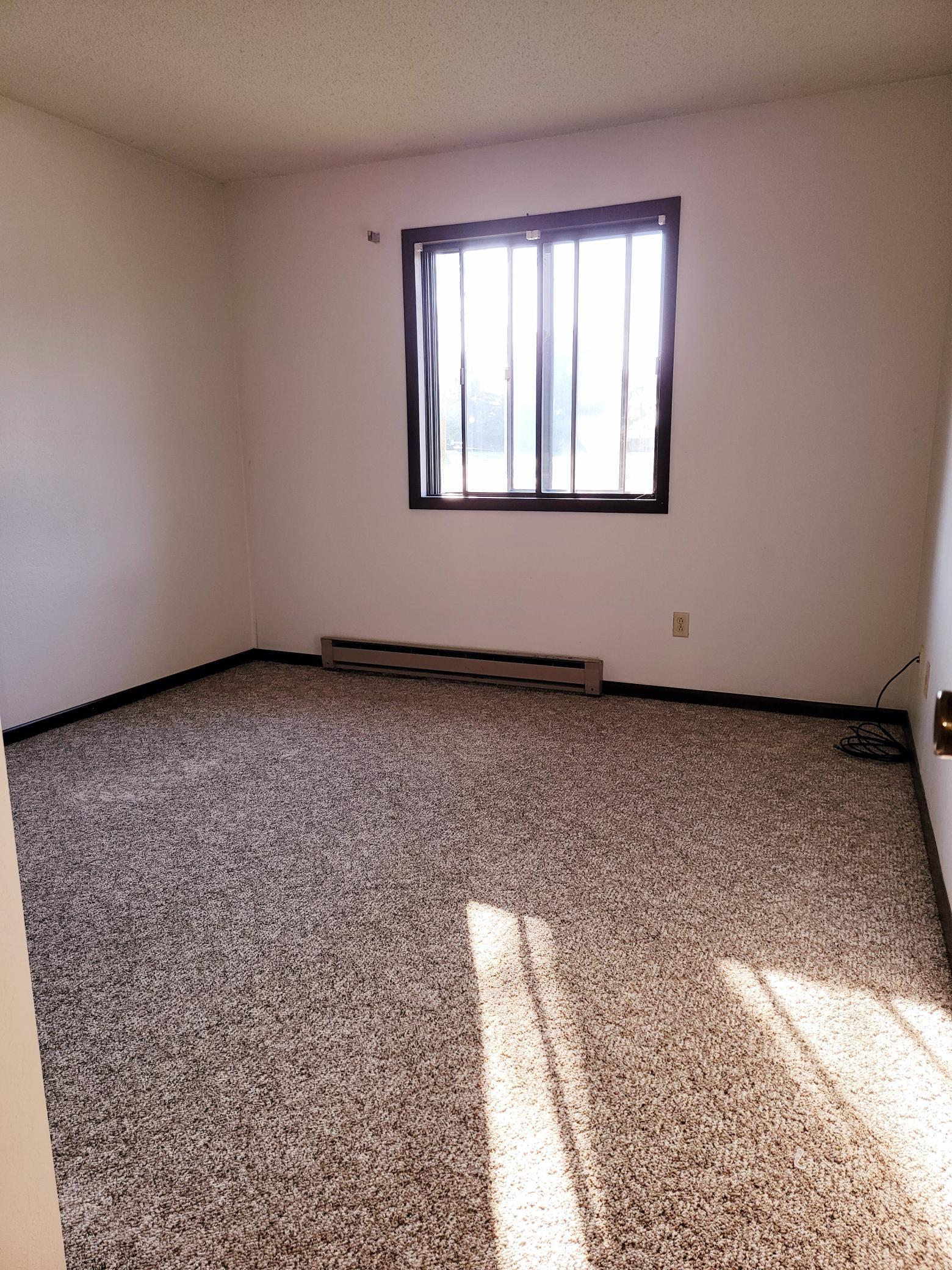 506 Carleton Avenue Morgan, MN 56266 - Photo 12 of 18