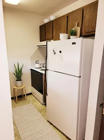 $755 | 506 Carleton Avenue, Morgan, MN 56266