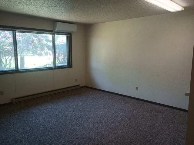 $705 | 506 Carleton Avenue, Morgan, MN 56266