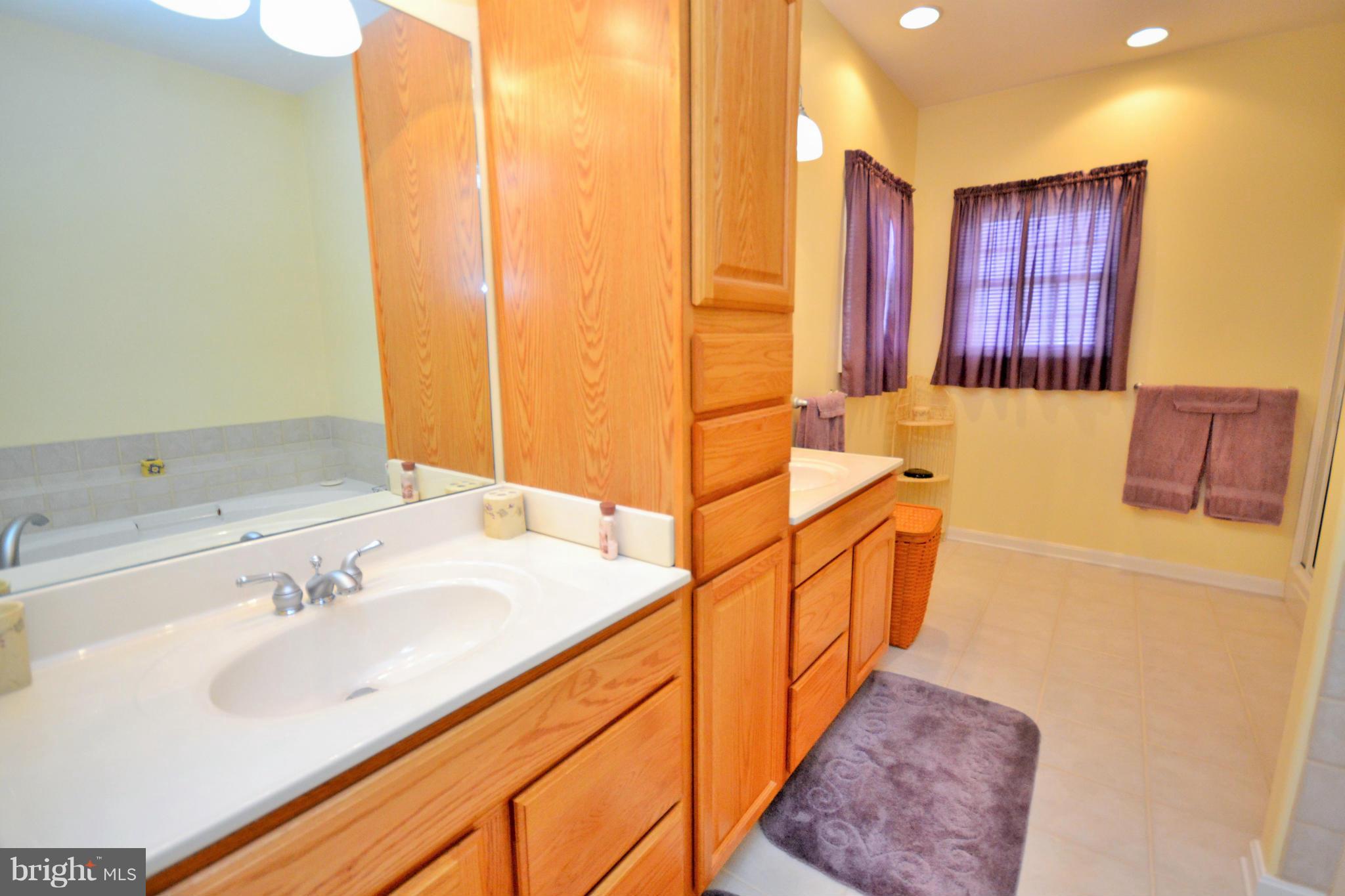 10558 Alum Springs Road Culpeper, VA 22701 - Photo 10 of 30 Bath (Master)
