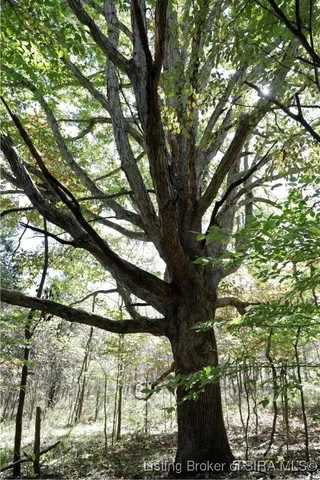 $295,000 | East Temple Road, Marengo, IN 47140