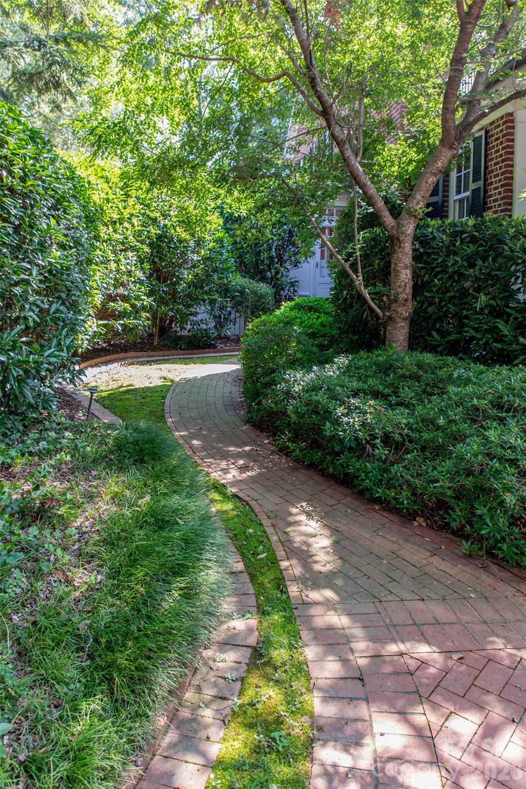 213 Union Street North Concord, NC 28025 - Photo 41 of 43 a view of a yard with plants and large trees