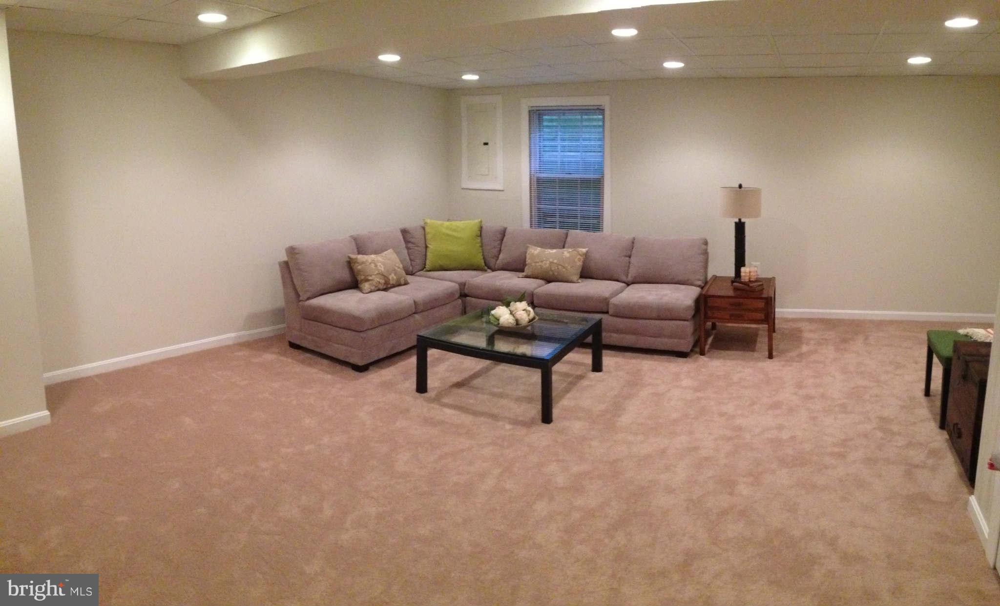 5531 Ridgeton Hill Court Fairfax, VA 22032 - Photo 15 of 19 Basement