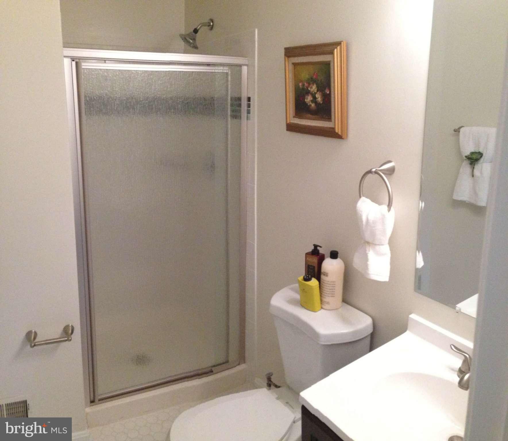 5531 Ridgeton Hill Court Fairfax, VA 22032 - Photo 9 of 19 Bath (Master)