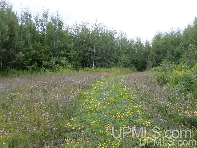 Tbd Valley Road Hurley, WI 54534 - Photo 5 of 6