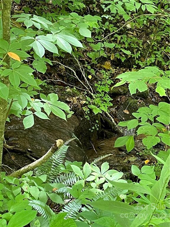 0 Upper E Fork Road Sylva, NC 28779 - Photo 11 of 13 a backyard of a house
