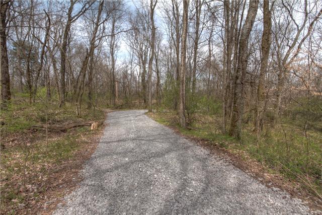 4259 Crowder Road Franklin, TN 37064 - Photo 16 of 18 Picturesque view of nature on your drive in