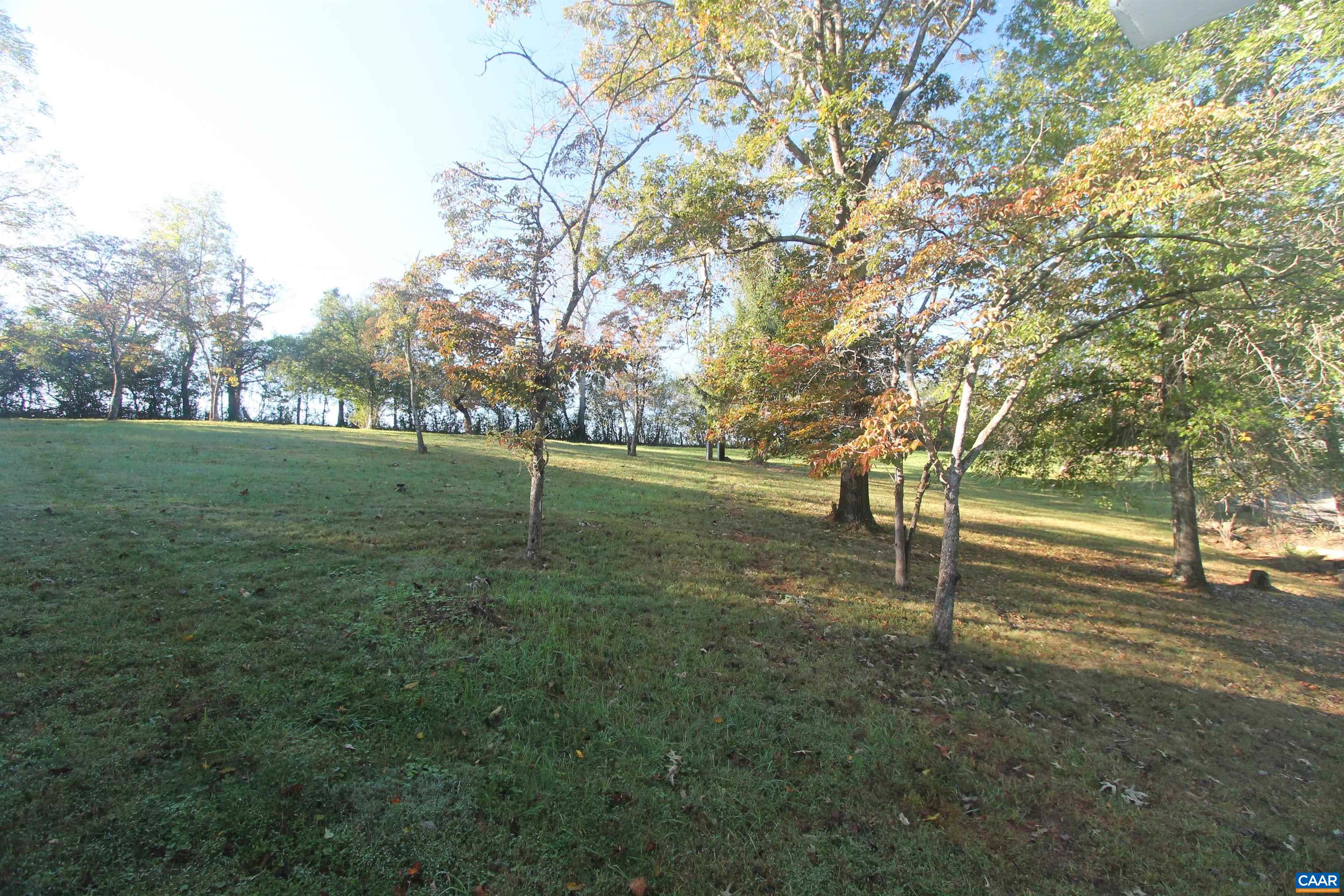 Tbd Batesville Road Afton, VA 22920 - Photo 2 of 28 a view of a tree in a yard