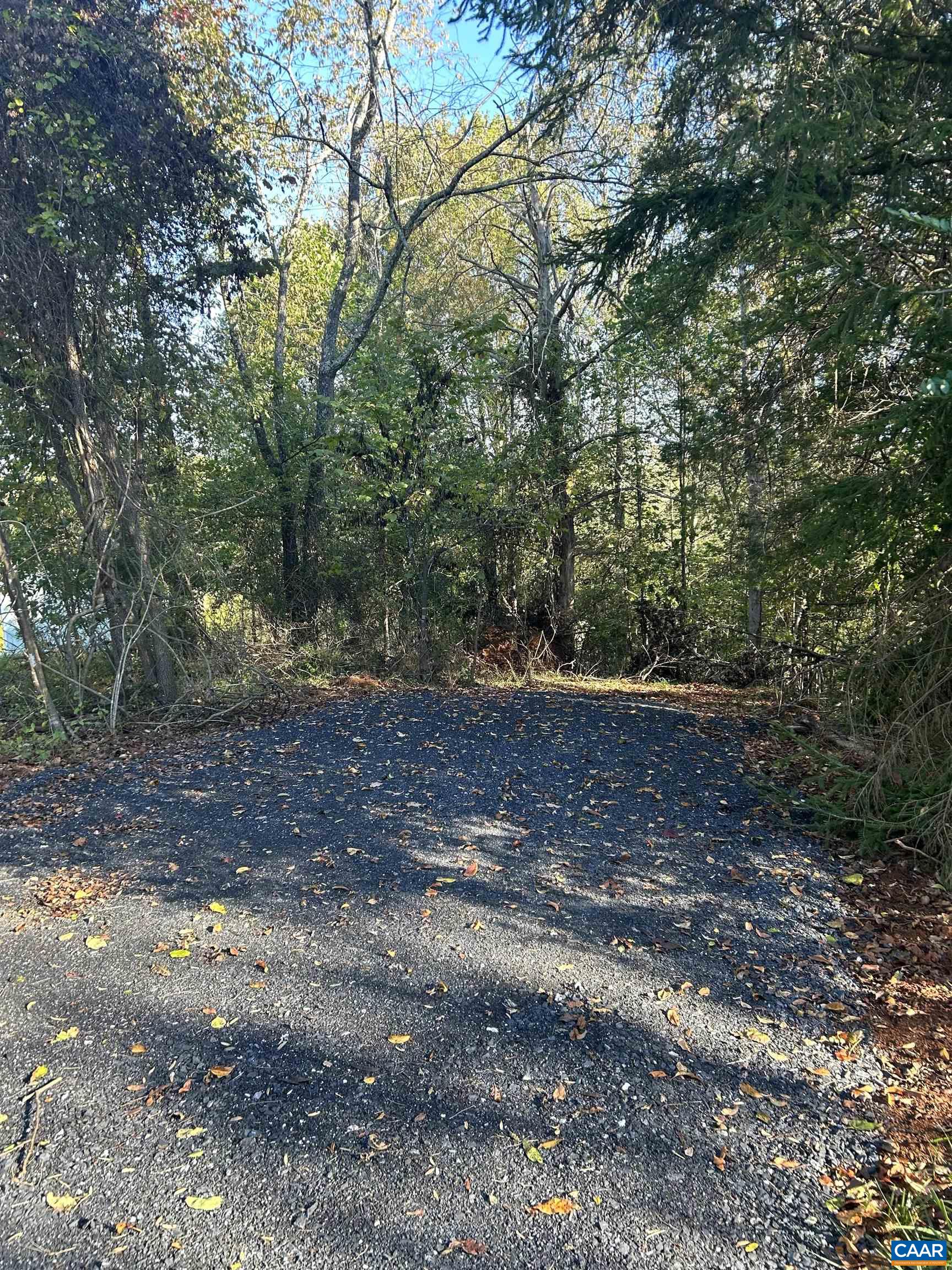 Tbd Batesville Road Afton, VA 22920 - Photo 24 of 28 a view of a yard with plants and large trees