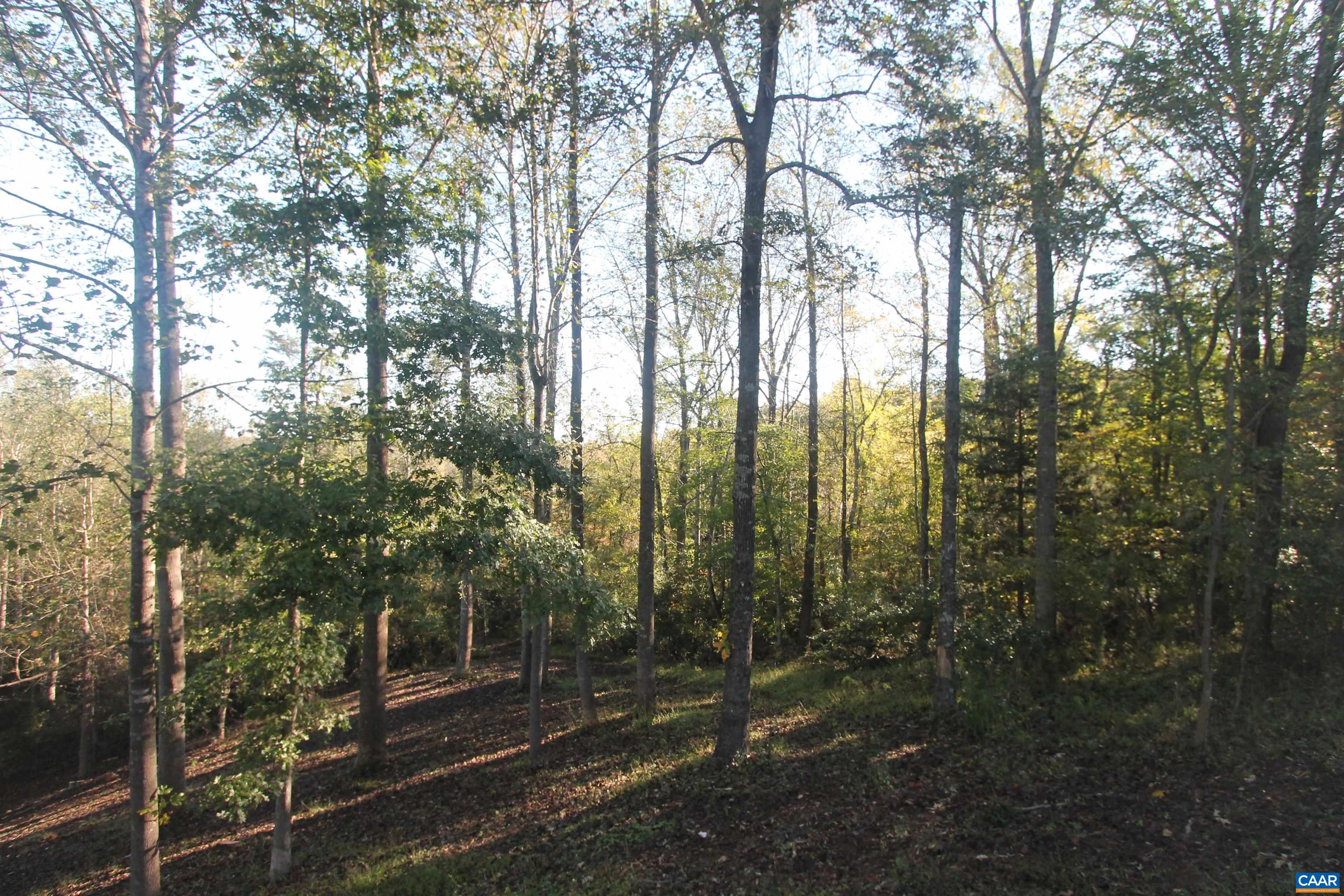 Tbd Batesville Road Afton, VA 22920 - Photo 3 of 28