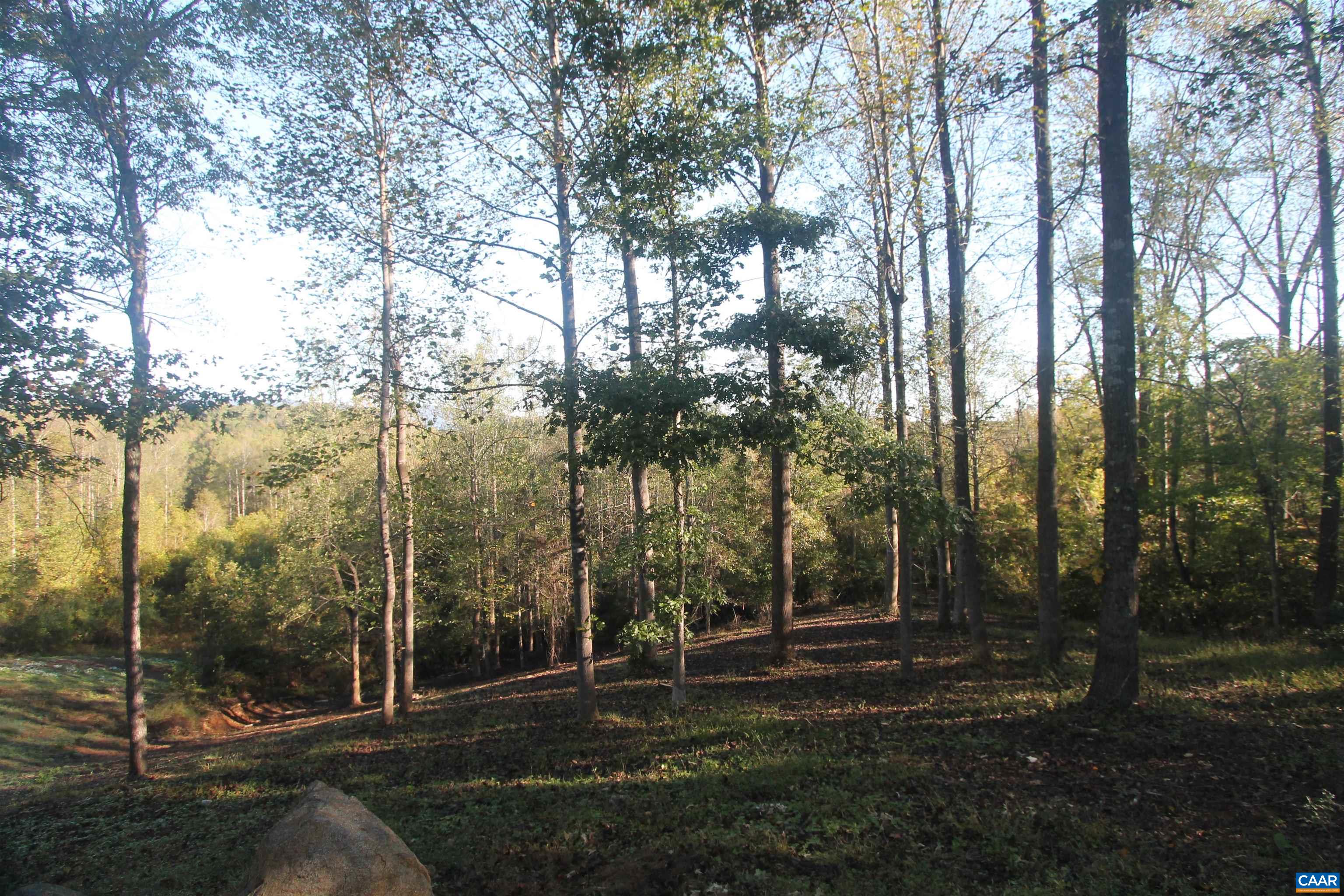 Tbd Batesville Road Afton, VA 22920 - Photo 3 of 28 a view of park