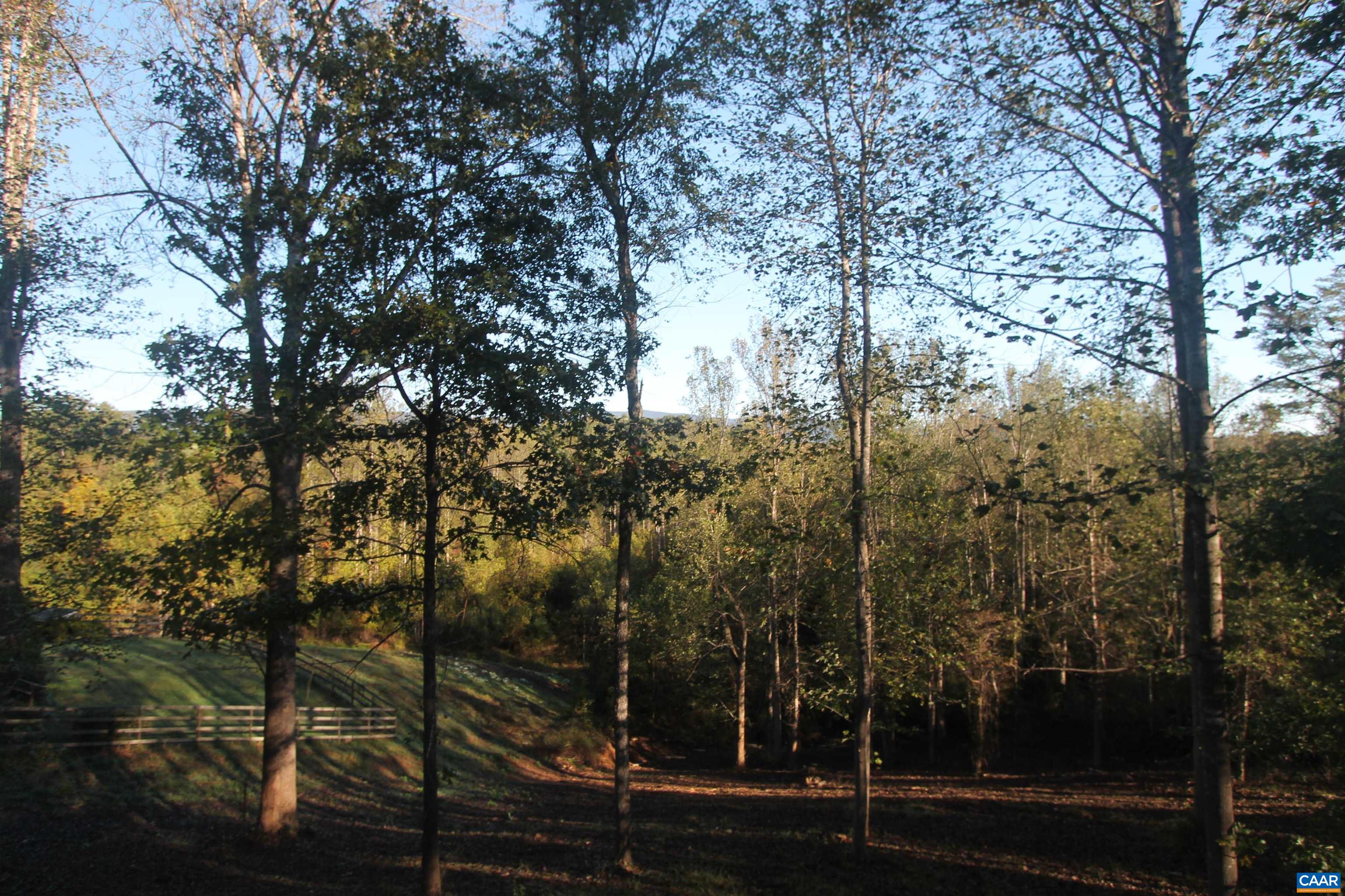 Tbd Batesville Road Afton, VA 22920 - Photo 7 of 28 a view of a forest that has large trees