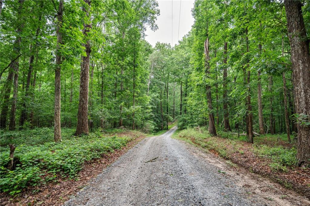 801 Buford Carey Road Hull, GA 30646 - Photo 2 of 68