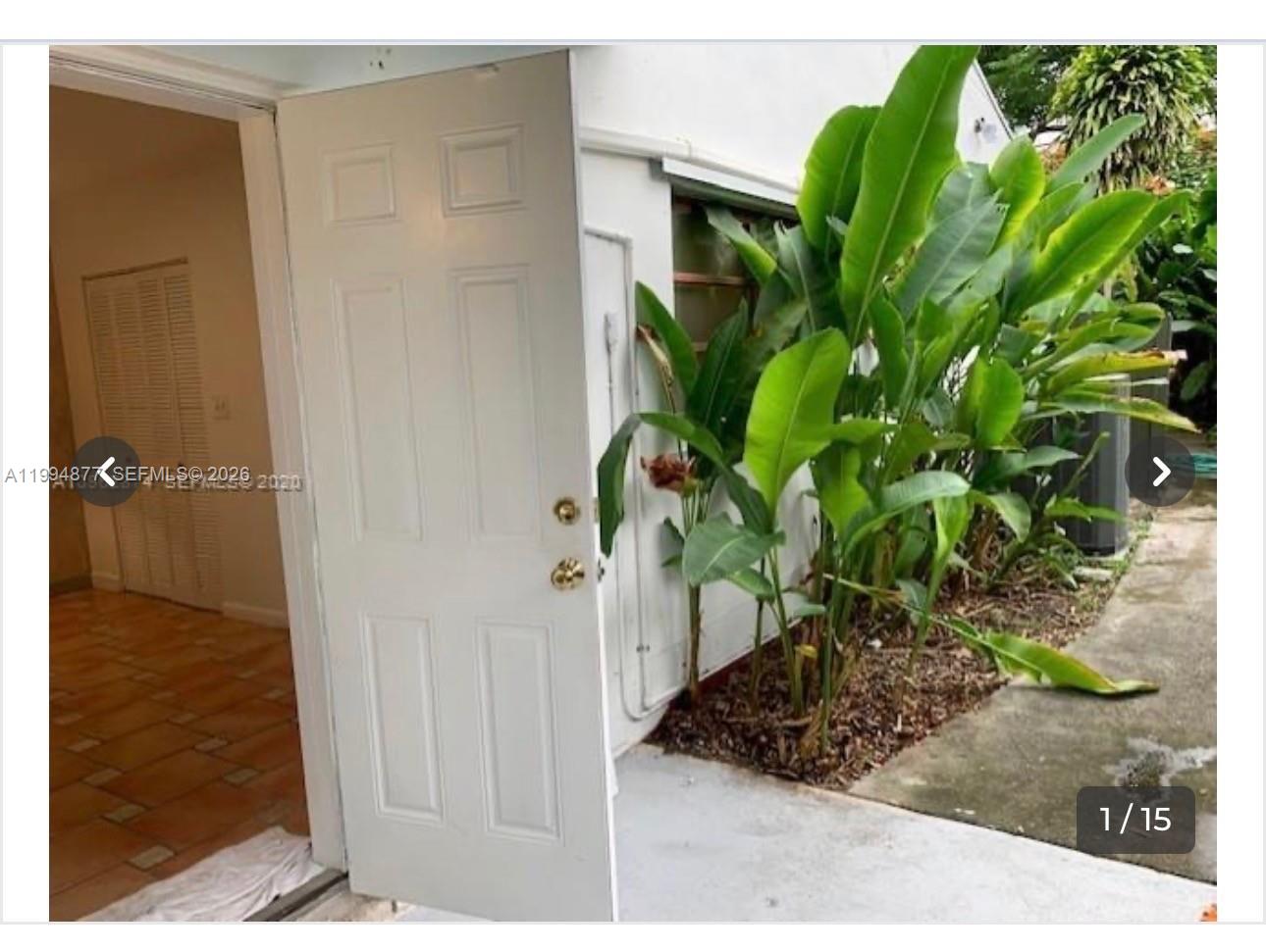 a view of a plant in a garden