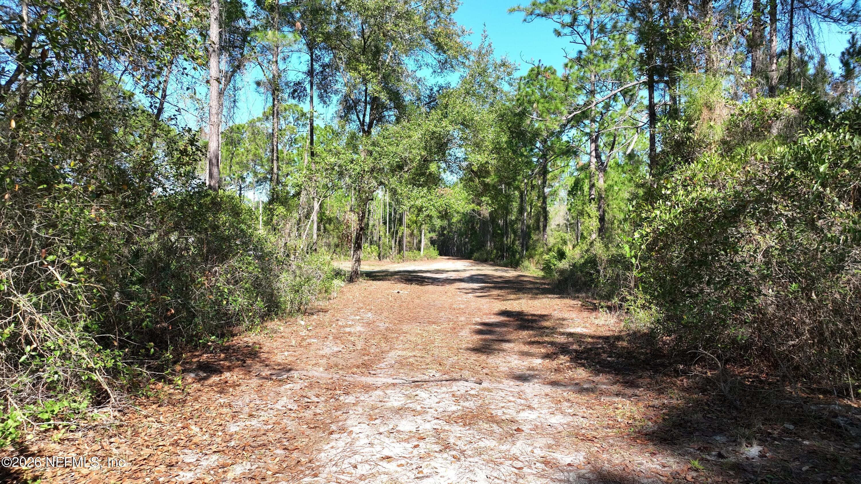 127 Roebuck Road Georgetown, FL 32139 - Photo 15 of 25 a view of outdoor space and trees