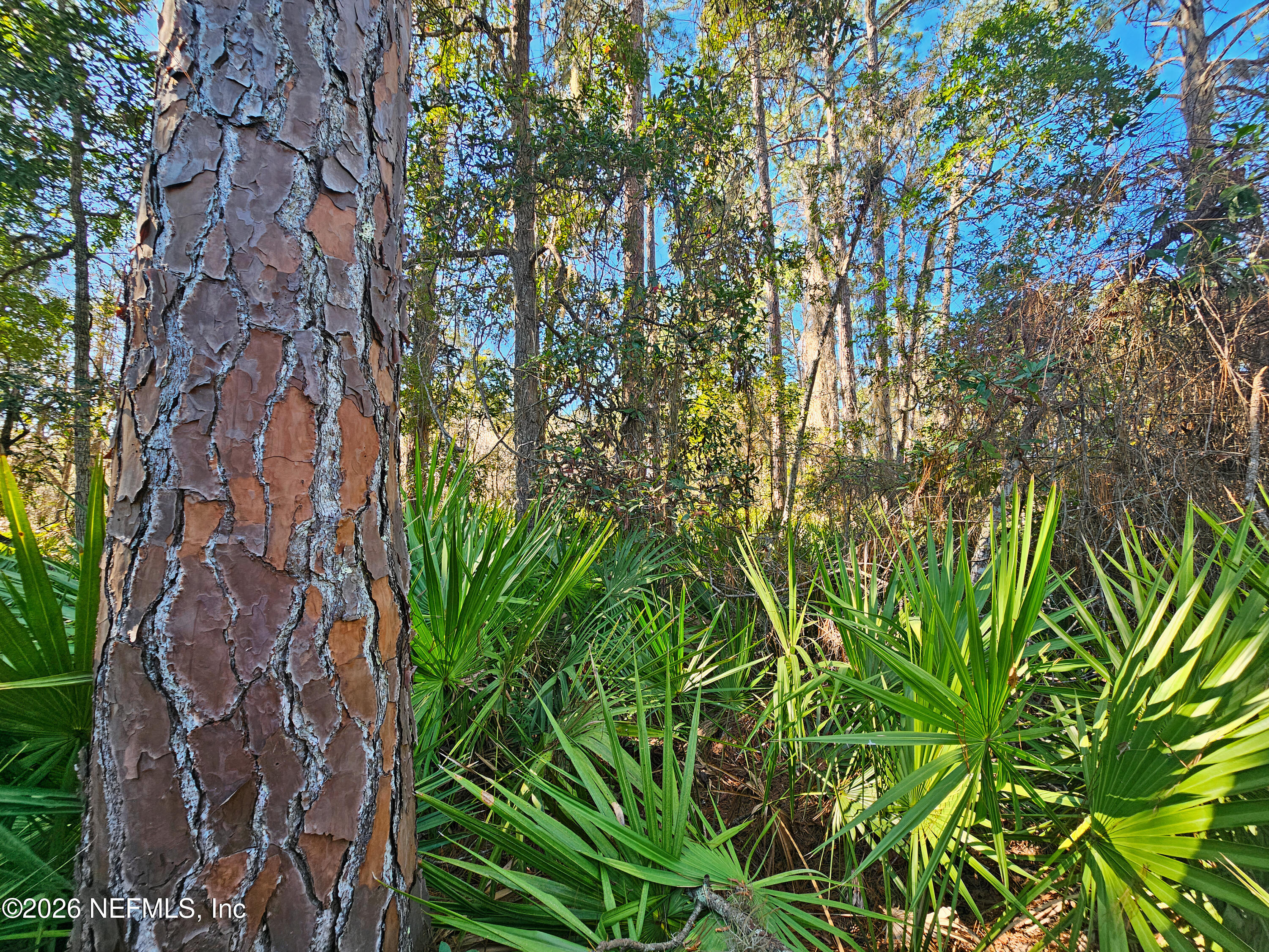 127 Roebuck Road Georgetown, FL 32139 - Photo 17 of 25 a backyard of a building with barbeque oven and plants