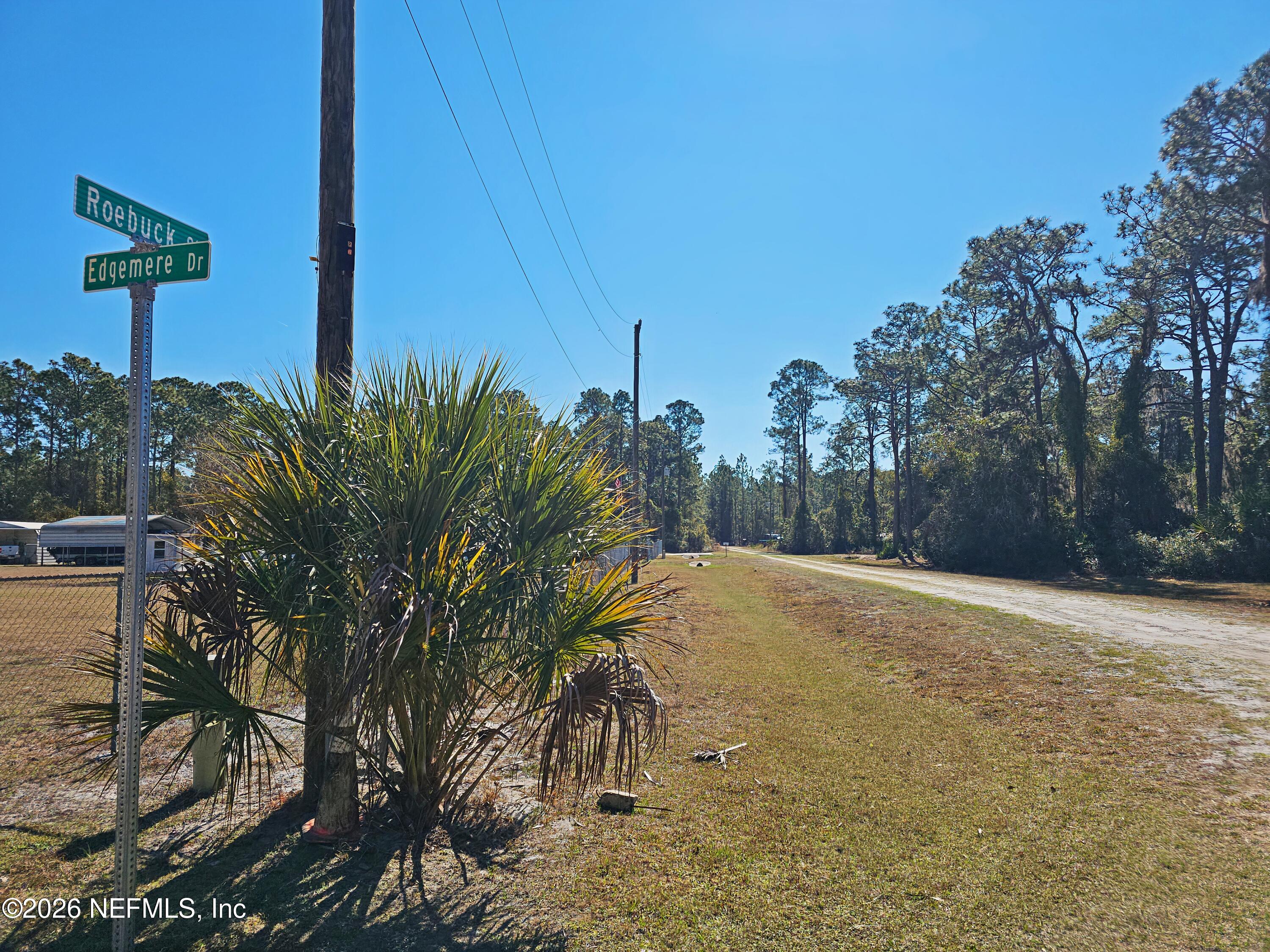 127 Roebuck Road Georgetown, FL 32139 - Photo 20 of 25 a view of a yard with plants and a bench