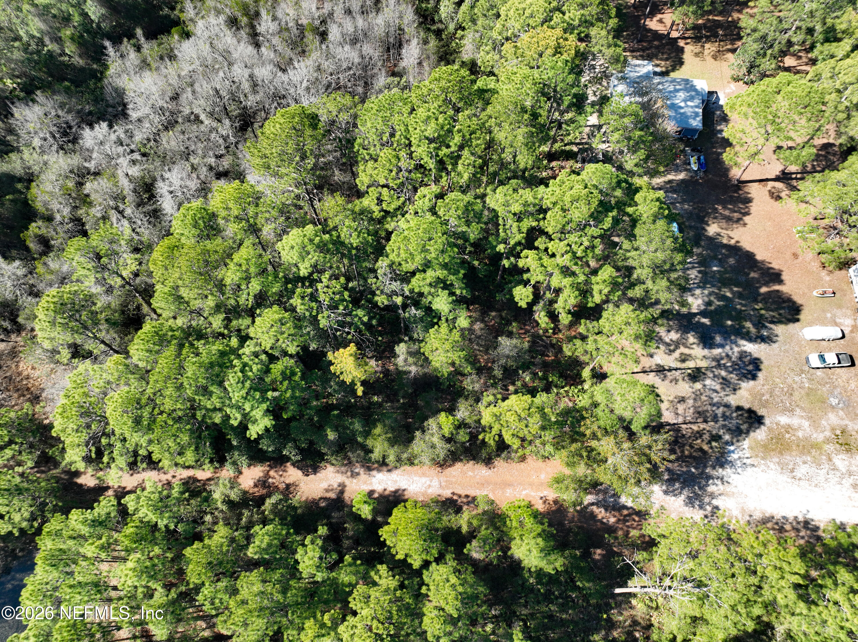 127 Roebuck Road Georgetown, FL 32139 - Photo 21 of 25 a view of a plant with a yard