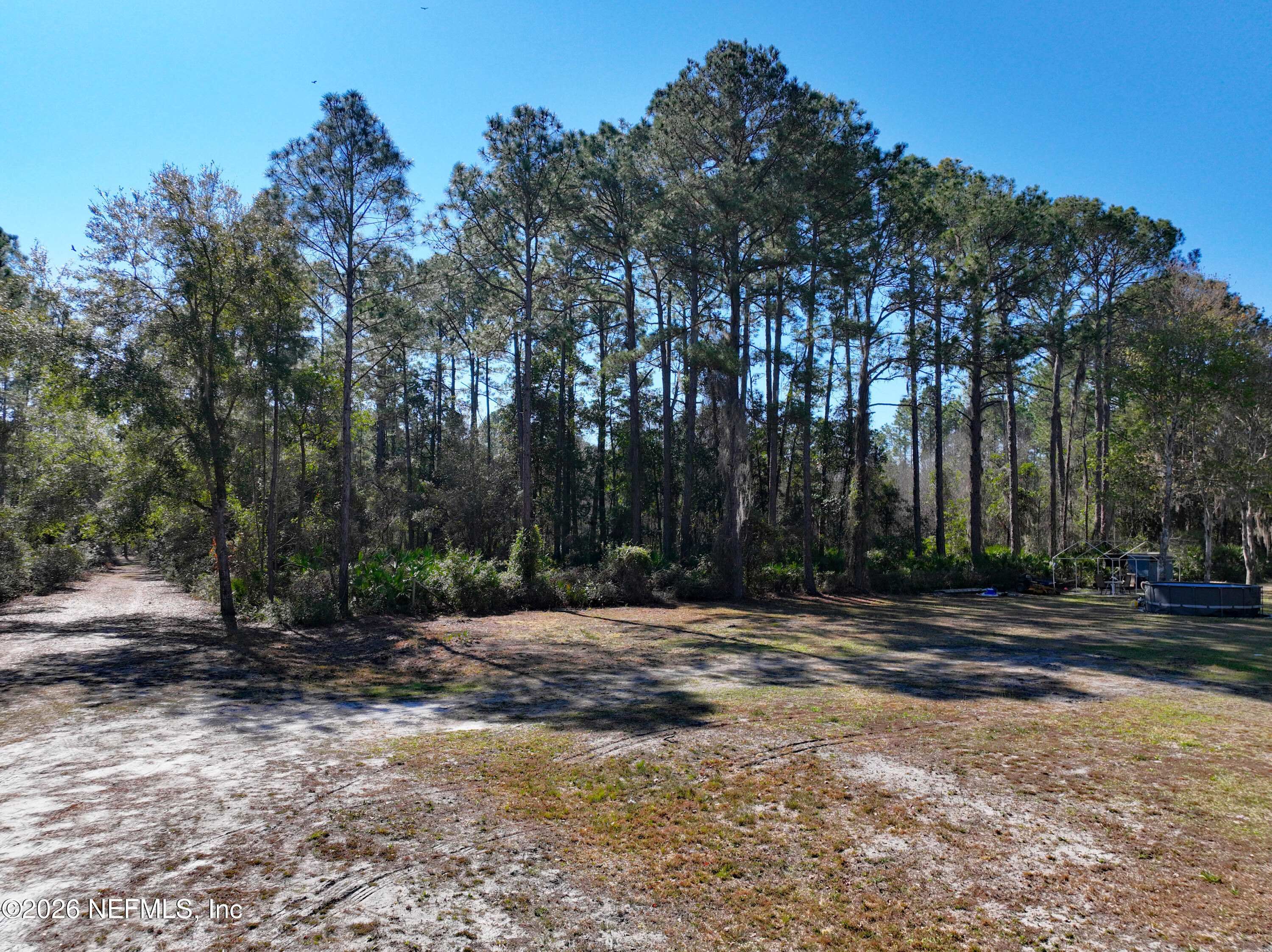 127 Roebuck Road Georgetown, FL 32139 - Photo 4 of 25 a view of road with trees