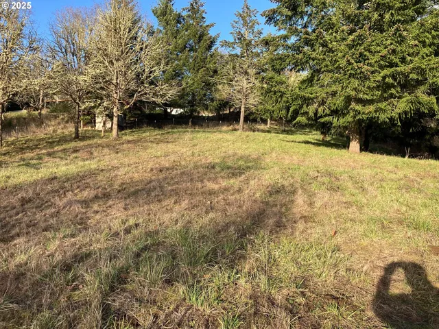 a backyard of a house with large trees