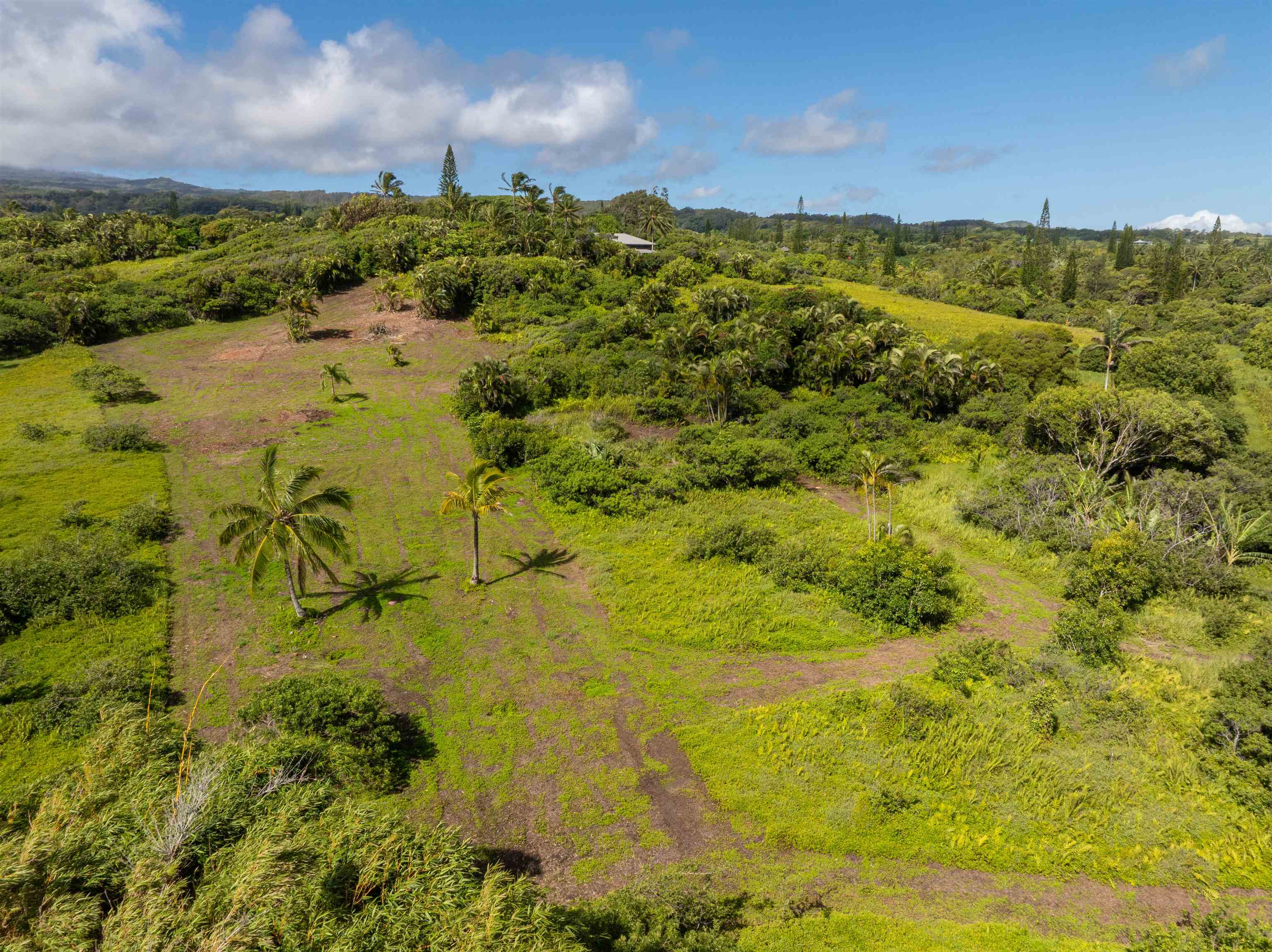 601 North Honokala Road, Unit A Haiku, HI 96708 - Photo 11 of 26