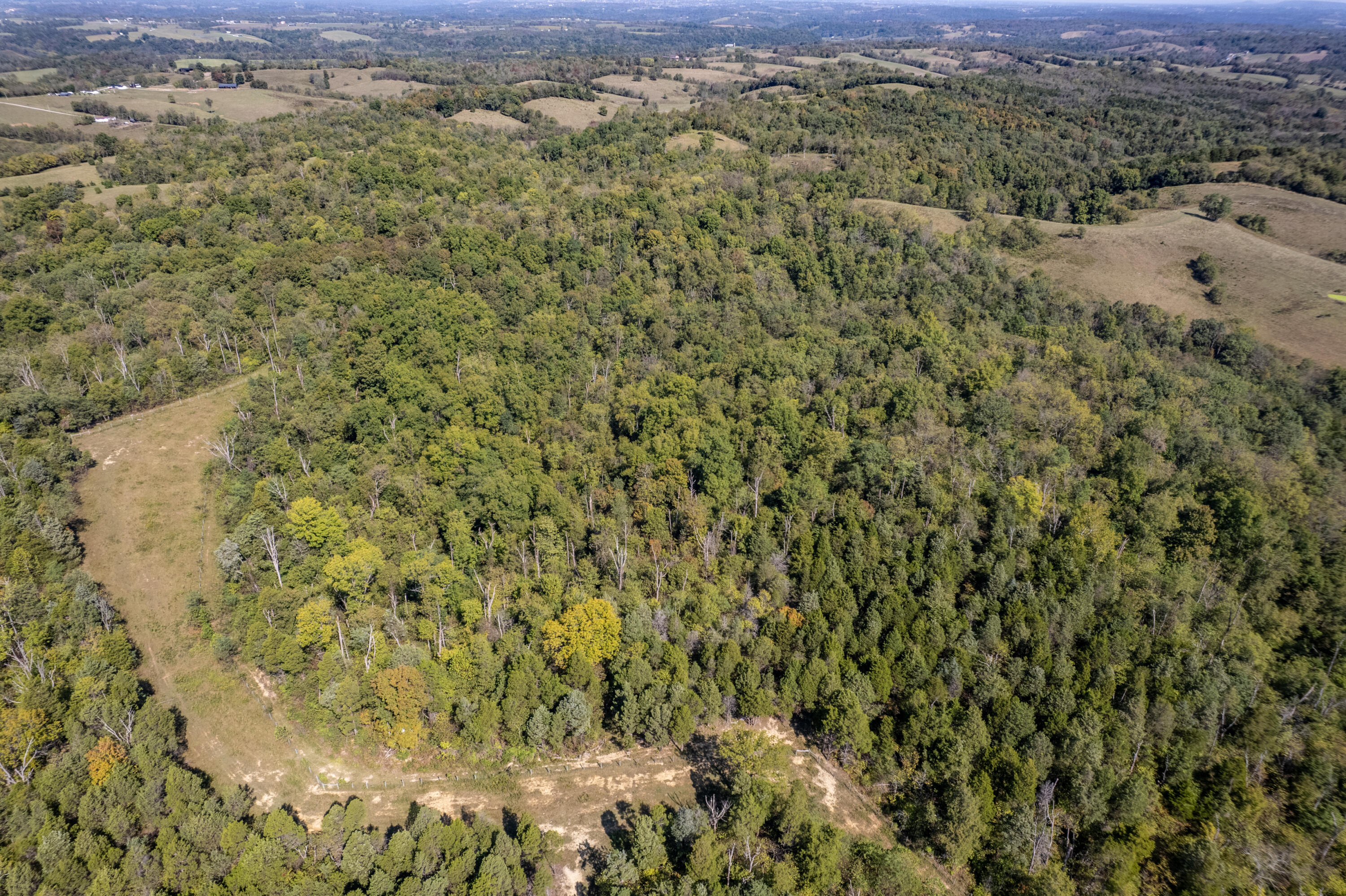 0 Magnolia Road Owingsville, KY 40360 - Photo 8 of 25 DJI_0278-HDR
